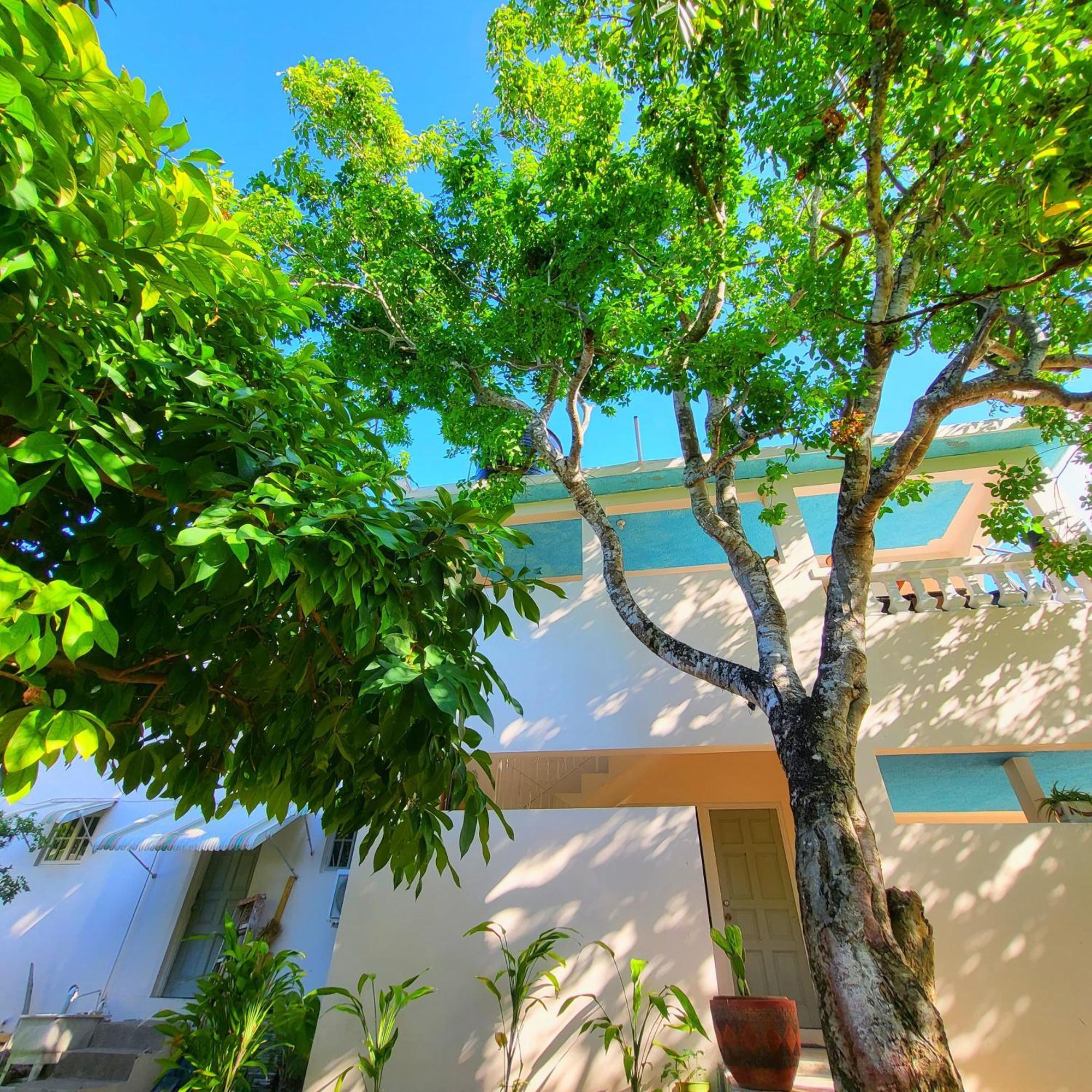 Green'S Palace Jamaica Oracabessa Екстер'єр фото